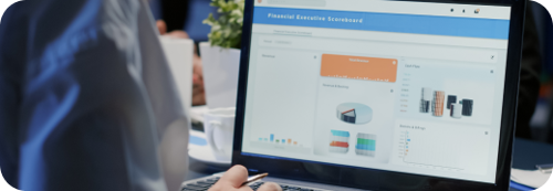 Accessibility Audits